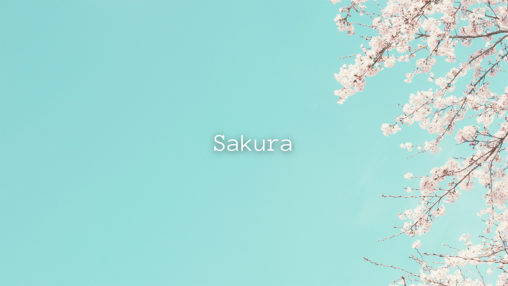 Sakuraのサムネイル
