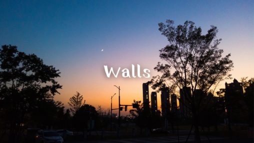Wallsのサムネイル