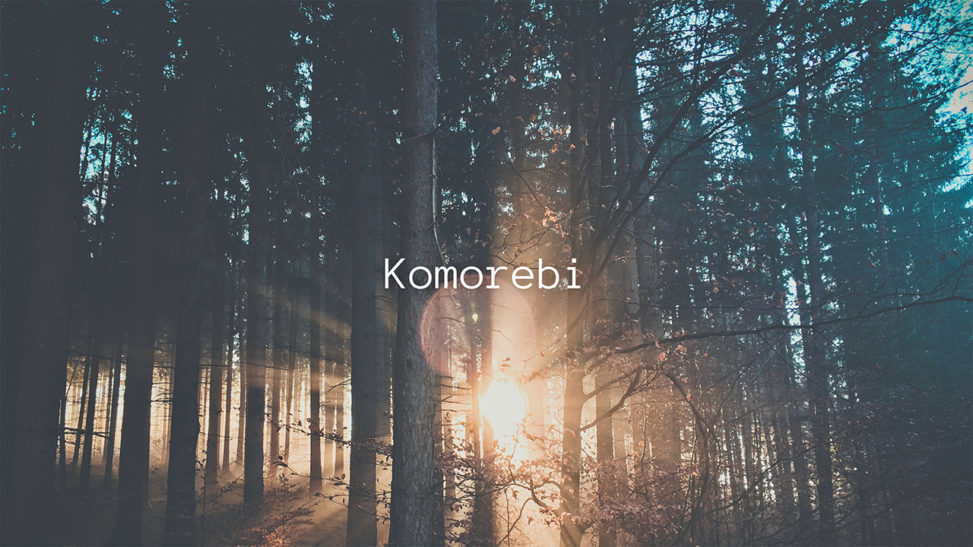 木漏れ日のサムネイル