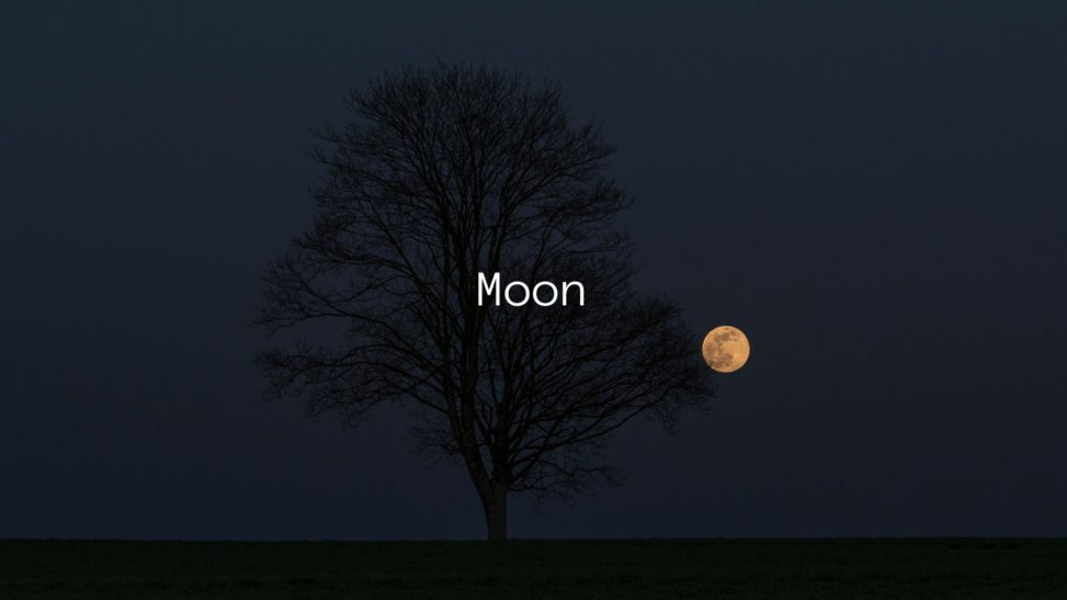 Moonのジャケット