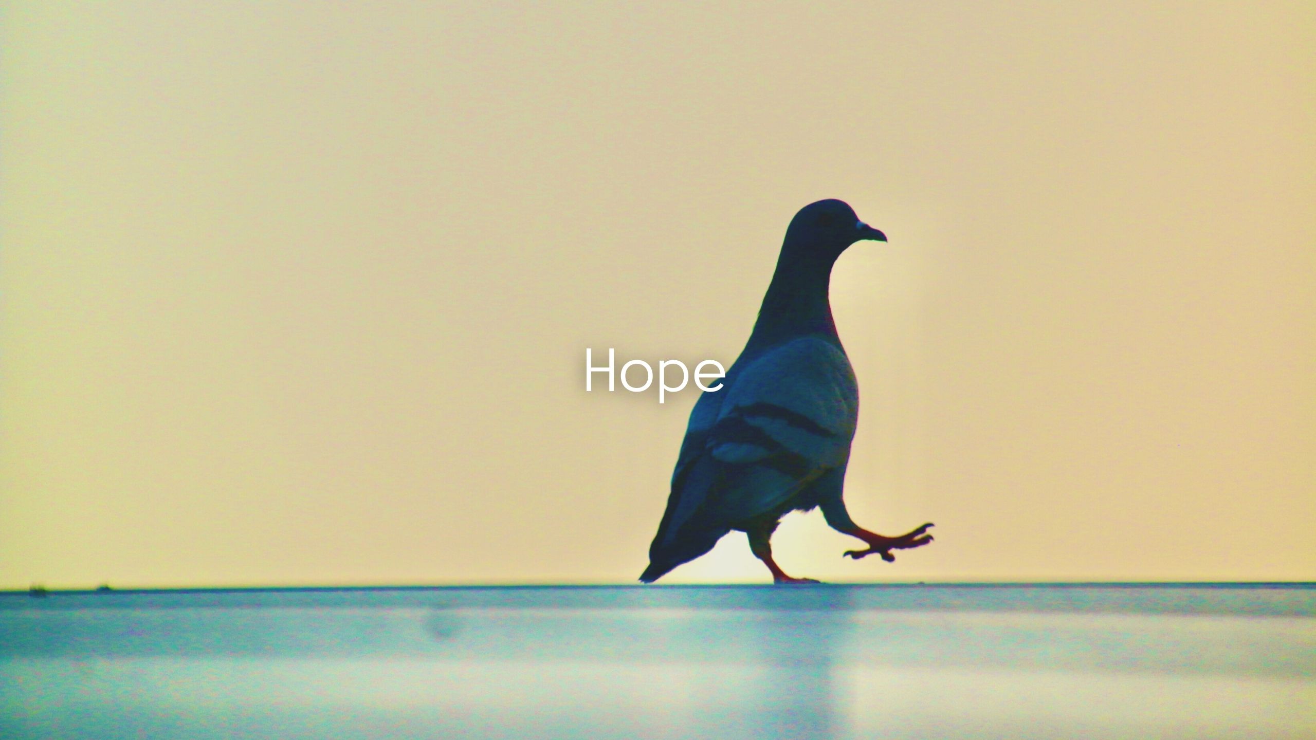 Hope (Piano ver)