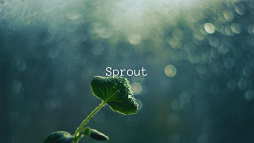 Sproutのサムネイル
