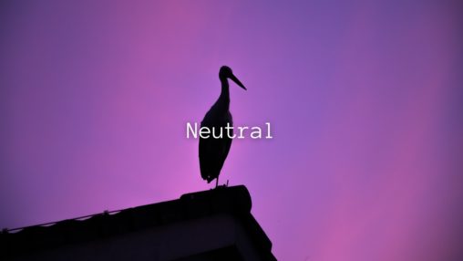 Neutralのサムネイル