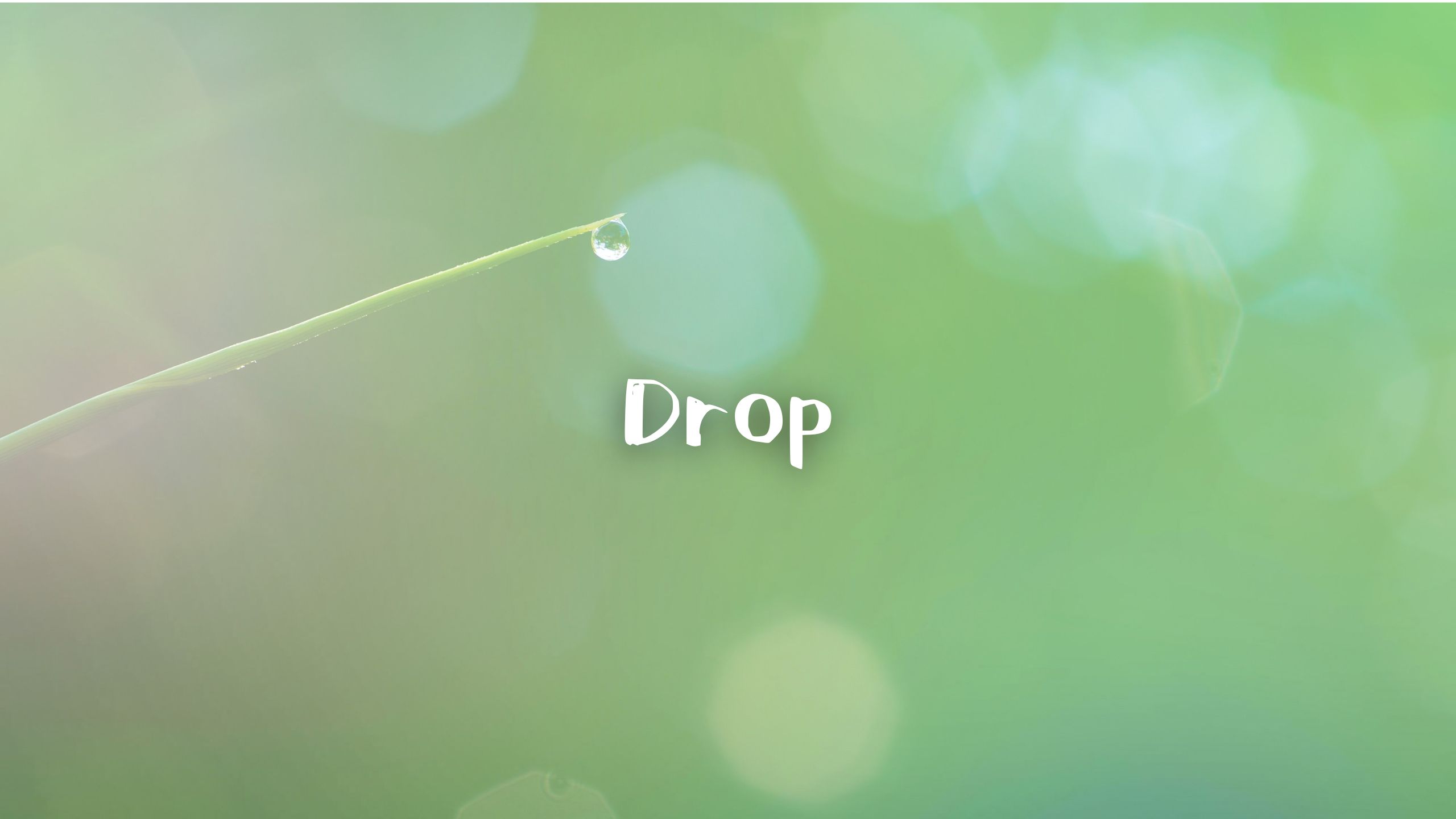Drop 観賞用